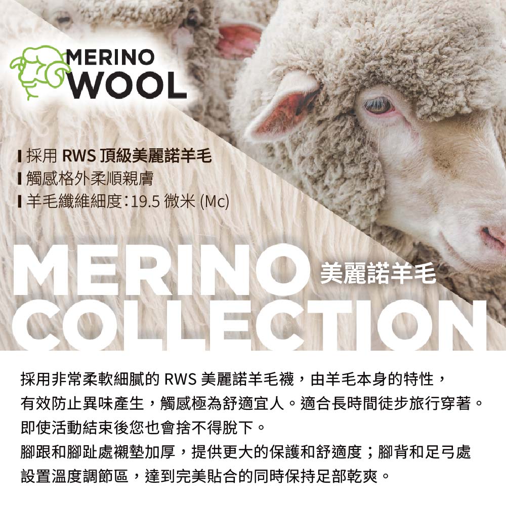 MERINOWOOL採用 RWS 頂級美麗諾羊毛觸感格外柔順親膚羊毛纖維細度:19.5 微米 (Mc)MERINO 美麗諾羊毛COLLECTION採用非常柔軟細膩的 RWS 美麗諾羊毛襪,由羊毛本身的特性,有效防止異味產生,觸感極為舒適宜人。適合長時間徒步旅行穿著。即使活動結束後您也會捨不得脫下。腳跟和腳趾處襯墊加厚,提供更大的保護和舒適度;腳背和足弓處設置溫度調節區,達到完美貼合的同時保持足部乾爽。