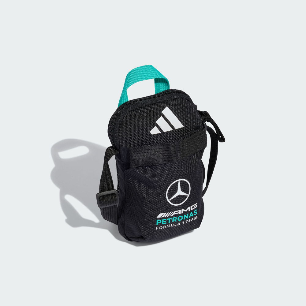 AMGPETRONASFORMULA 1 TEAM