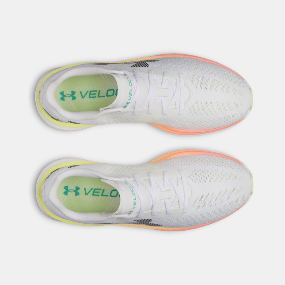 VELOVELO