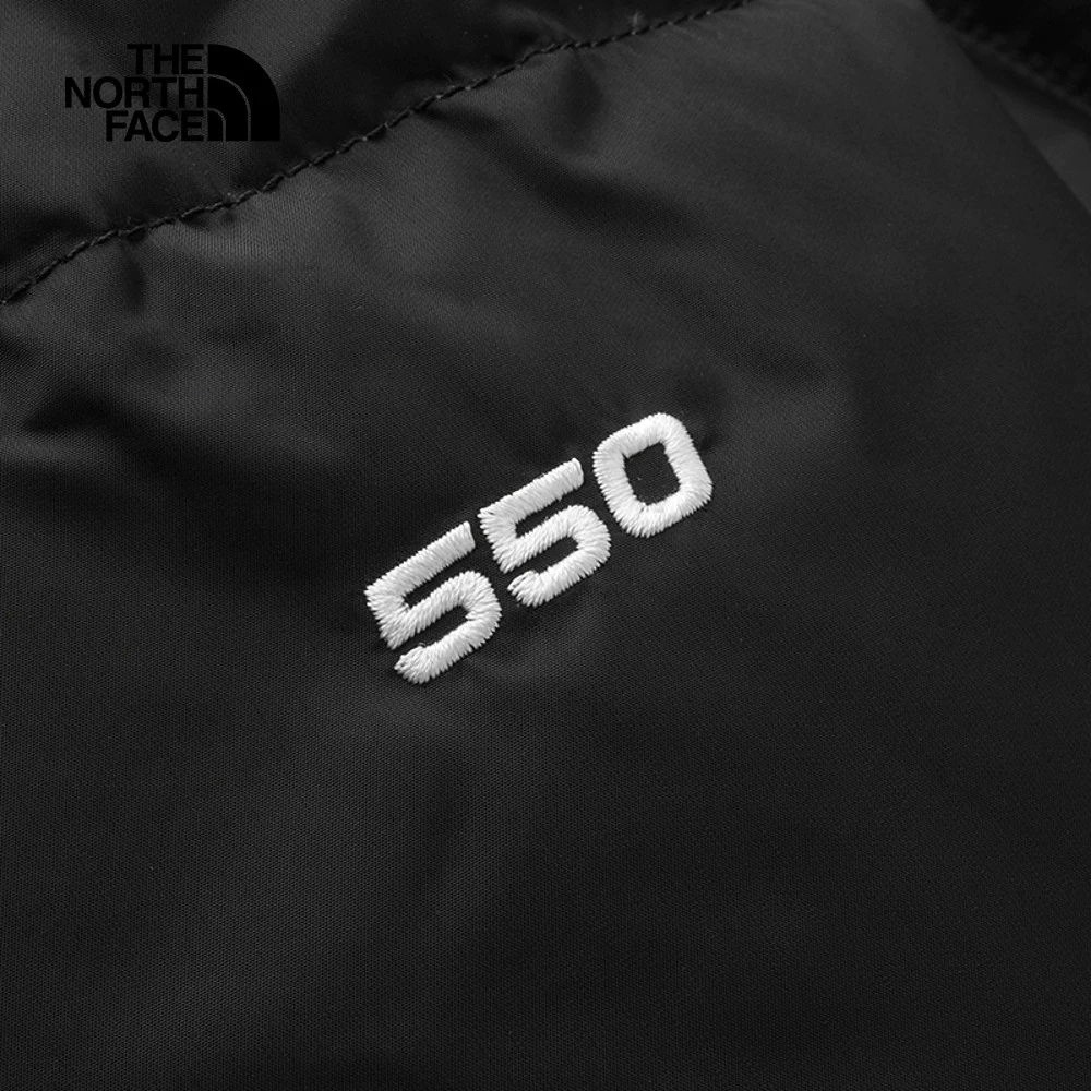 THENORTHFACE550